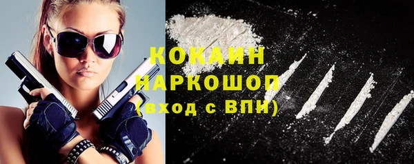 дживик Абинск